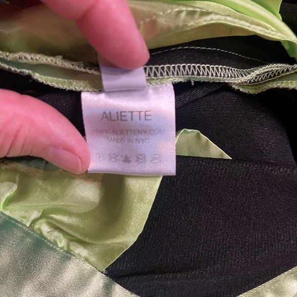 Aliette Green Silk Pants GUC - Picture 11 of 14